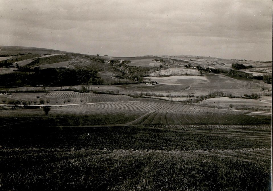 Blick von Sobolow gegen Norden (BildID 15736055)