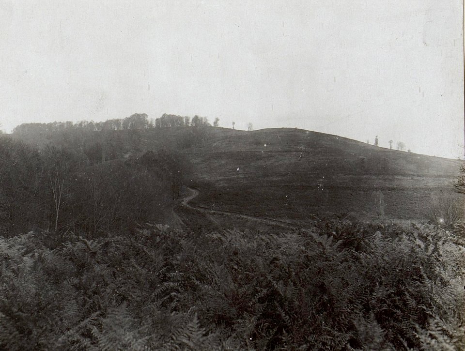 Blick von Poljana Rücken gegen Cavcici (BildID 15660437)