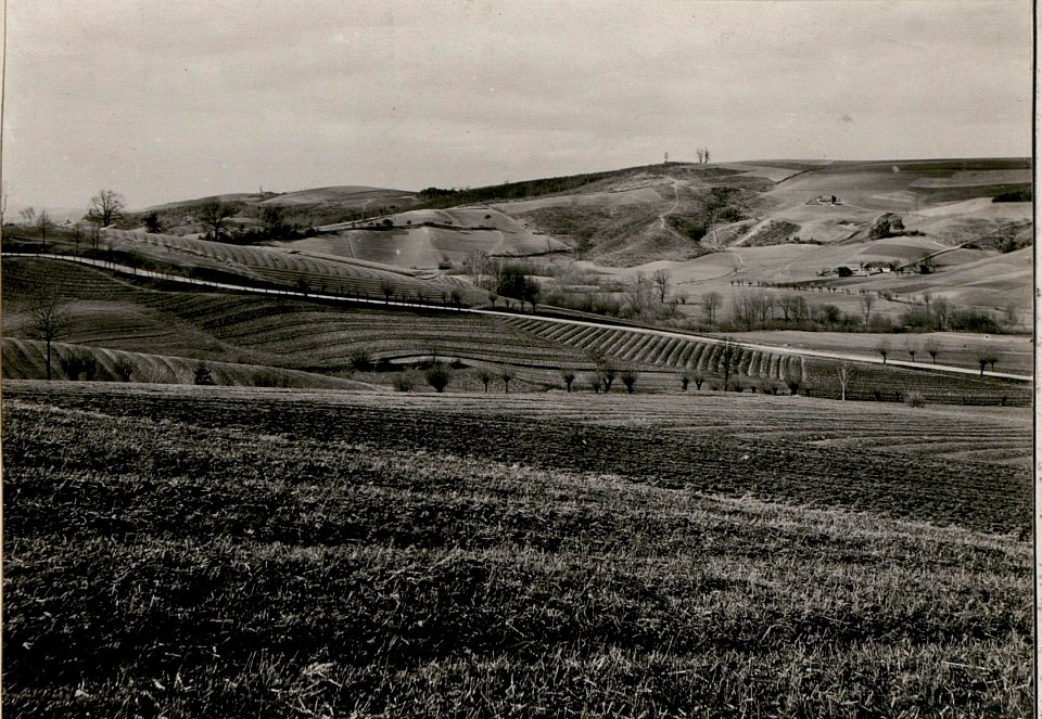 Blick von Sobolow gegen Norden (BildID 15736048)
