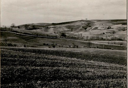 Blick von Sobolow gegen Norden (BildID 15736048)