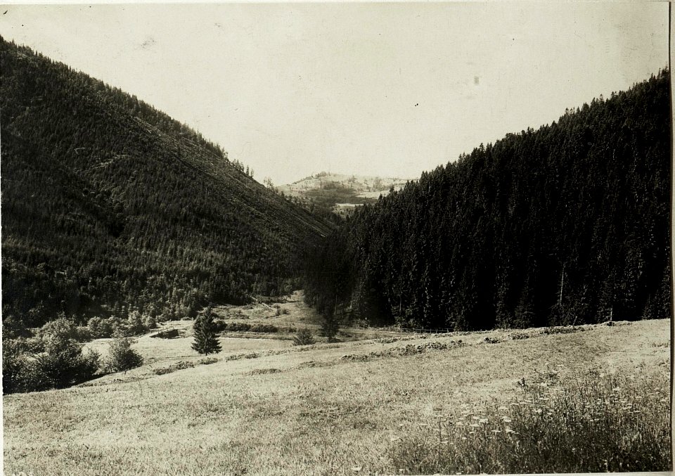 Blick zwischen Makowka und Klewa auf die Menczel. (BildID 15431702)