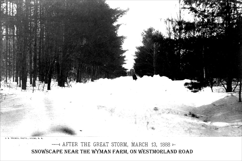 Blizzard of March 1888 - Snowscape near the Wyman Farm on Westmoreland Road (4660324895)