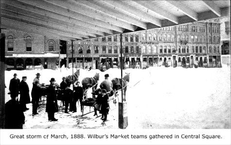 Blizzard of March 1888 - Wilburs Market Teams (2575383763) photo
