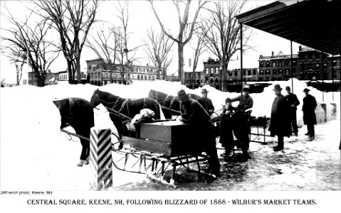 Blizzard of March 1888 - Wilburs Market Teams (2575383791) photo