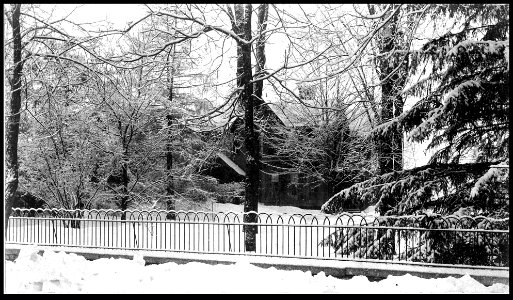 Blizzard of March 1888 - Residence of Dr. George R. Dinsmore (2575383747) photo