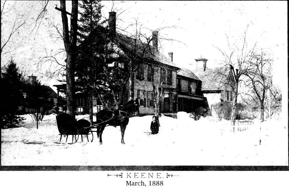 Blizzard of March 1888 - Scene with horse and carriage (4381603025)