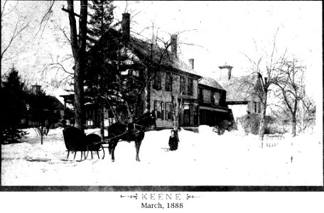 Blizzard of March 1888 - Scene with horse and carriage (4381603025)