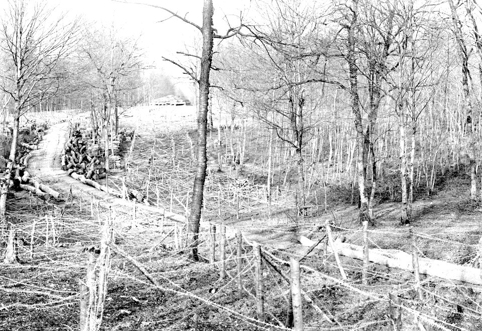 Blockhaus mit davorliegenden Drahthindernissen - CH-BAR - 3238432