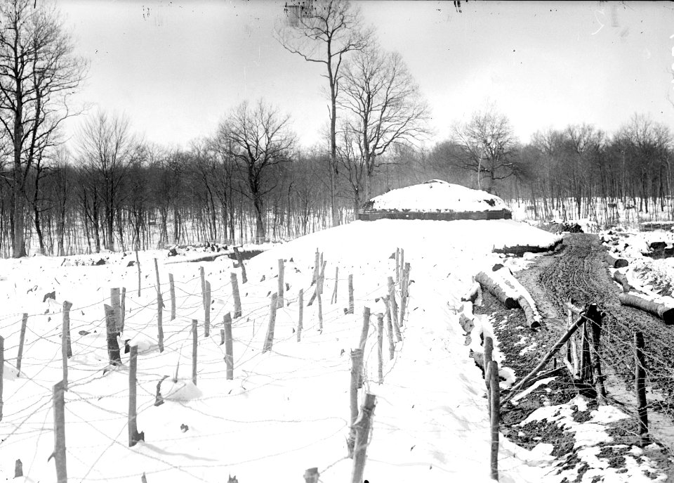 Blockhaus mit vorgelagerten Drahthindernissen - CH-BAR - 3238264