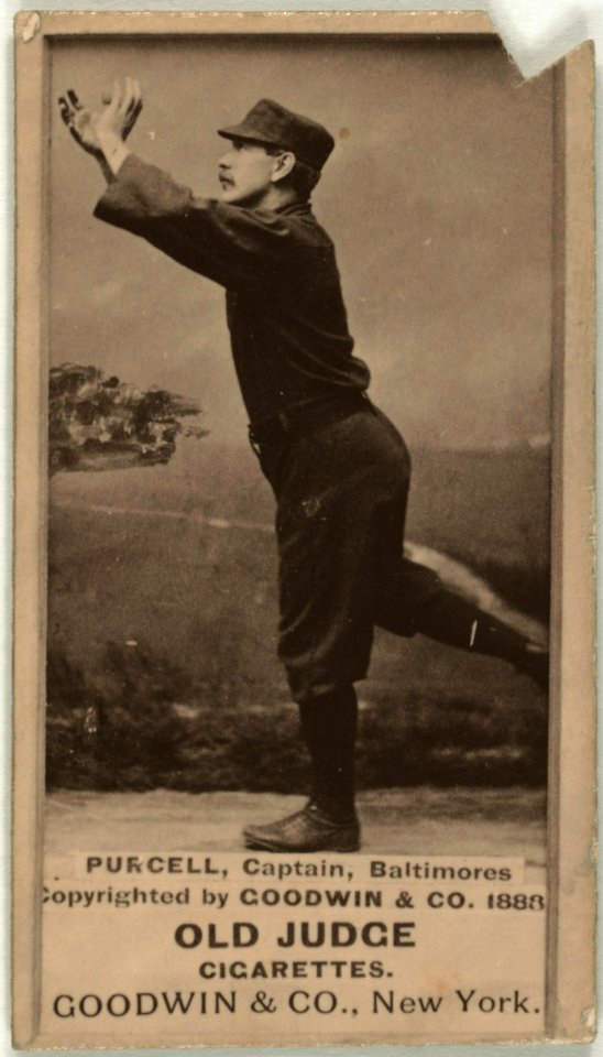 Blondie Purcell, Baltimore Orioles, baseball card portrait LCCN2007686974