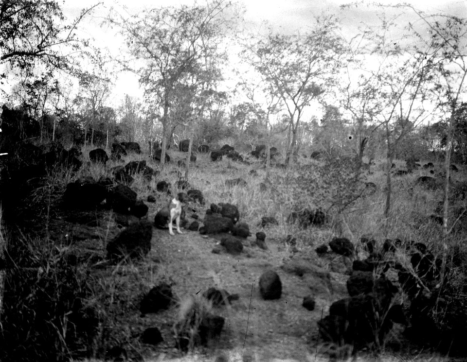 Blocksamlingar. (2 flätar liten). S-te Mariew de Marovoay. Madagaskar - SMVK - 021881