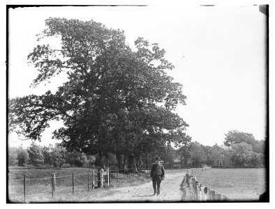 Bloemendaal, foto 1 Jacob Olie (max res)