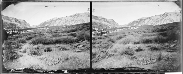 Bloody Canyon, Sierra Nevada, California - NARA - 519603