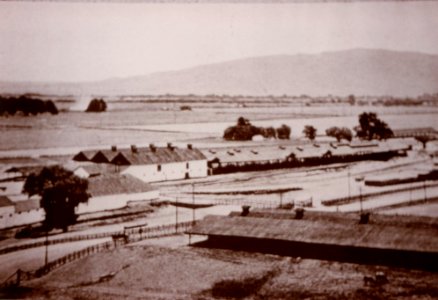 Bloomfield VI