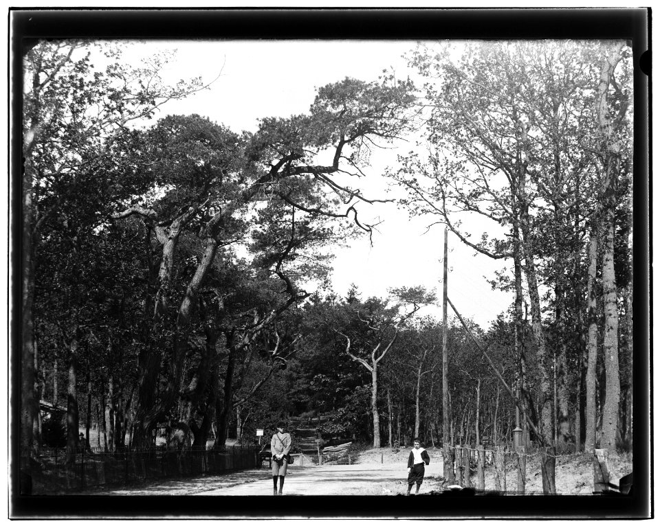 Bloemendaal eo, foto 1 Jacob Olie (max res)