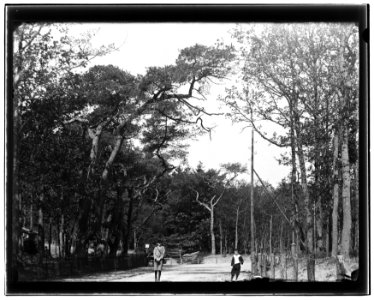 Bloemendaal eo, foto 1 Jacob Olie (max res)
