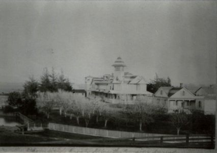Bloomfield VII