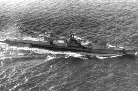 Blower (SS-325) off the New England coast