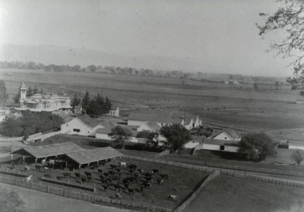 Bloomfield I