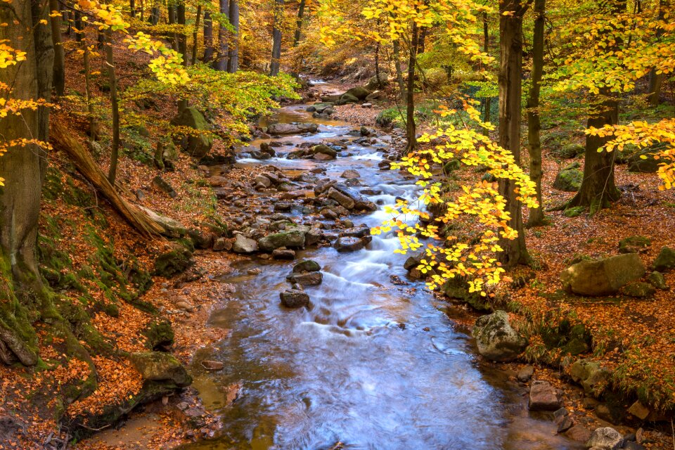 Autumn mood nature
