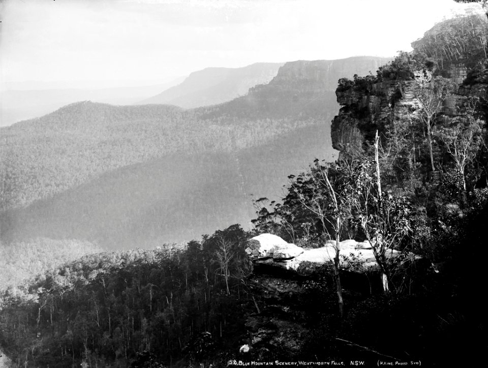 Blue Mountains scenery, Wentworth Falls, NSW