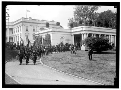 BLUE DEVILS (CHASSEURS ALPINE) AT WHITE HOUSE LCCN2016869190