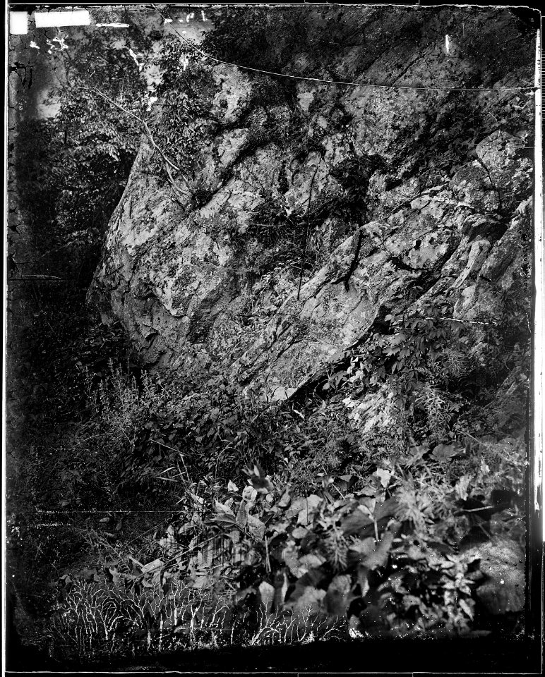 Bluff, 1200 ft. high, Lookout Mountain, Tenn - NARA - 529007