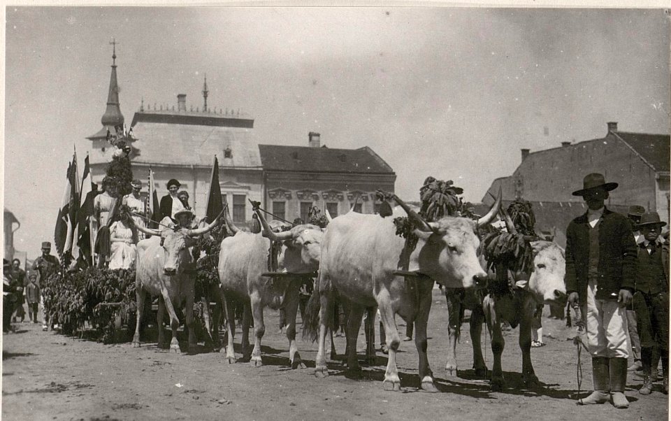 Blumentag in Bistritz (BildID 15718811)