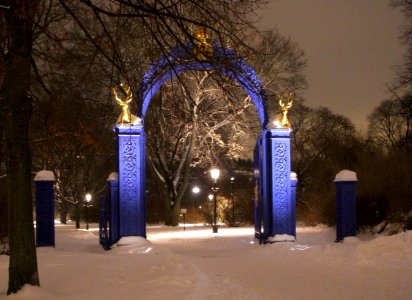 Blå porten dec 2010
