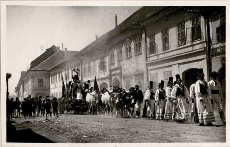 Blumentag in Bistritz (BildID 15718797)