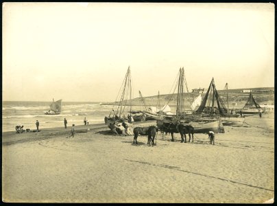 BNA FO011864