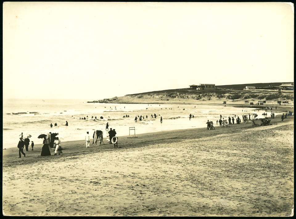 BNA FO011857