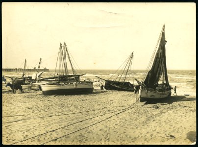 BNA FO011866