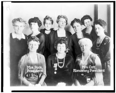 Board of Directors National League of Women Voters-Chicago Convention, February 1920 LCCN98511969