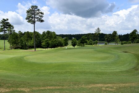 Fairway putt tee photo