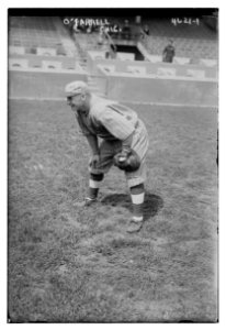 Bob O'Farrell, Chicago NL (baseball) LCCN2014707190