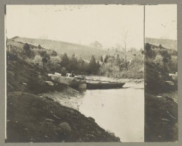 Boats docked at the shore of a river in a wooded area LCCN2012649013 photo