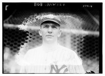 Bob Shawkey, New York AL (baseball) LCCN2014699410