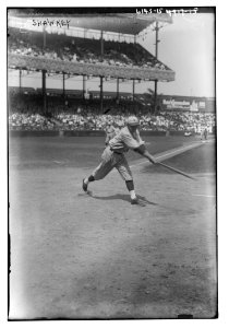 Bob Shawkey, New York AL (baseball) LCCN2014716935