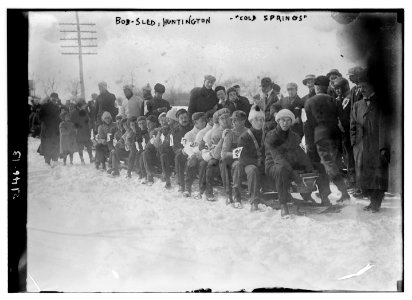 Bobsled, Huntington, Cold Springs LCCN2014688968