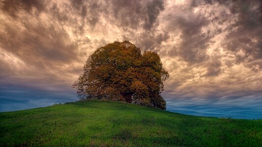 Panorama tree clouds photo