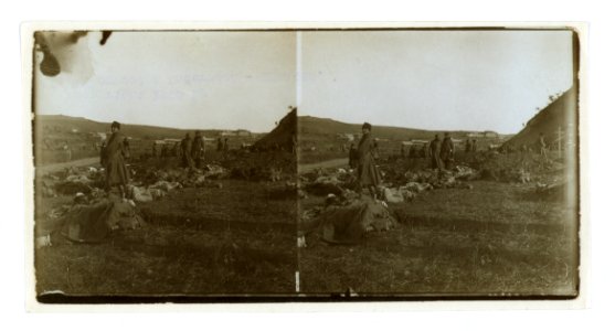 Bodies of Russian soldiers awaiting burial on a hillside, Port Arthur LCCN2005678326