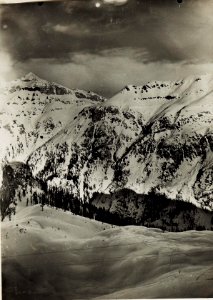 Boe Spitze. (BildID 15575123)