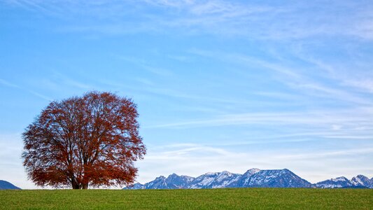 Panorama sky alpine