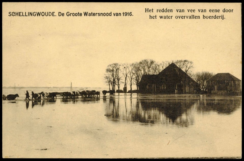 Boerderij in Schellingwoude tijdens de watersnood van 1916. Uitgave N.J. Boon, Amsterdam
