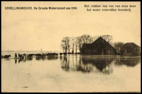 Boerderij in Schellingwoude tijdens de watersnood van 1916. Uitgave N.J. Boon, Amsterdam photo