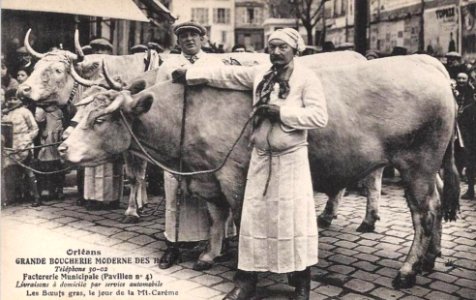 Boeufs gras à Orléans