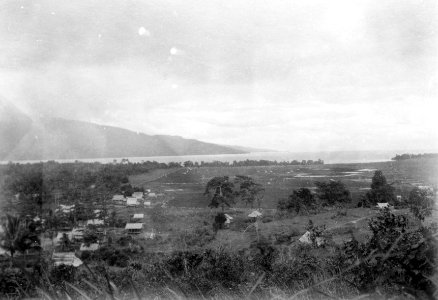 Boejoempondoli vid Pososjön, Pososjön sedd från Boejempondoli. Poso, Celebes. Sulawesi, Poso - SMVK - 010704b