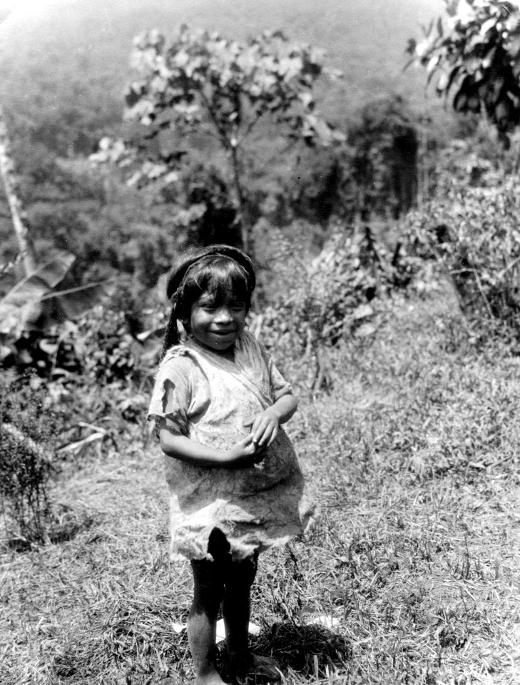 Bogotáflicka med bärväska över pannan. Veraguas. Panama - SMVK - 004291
