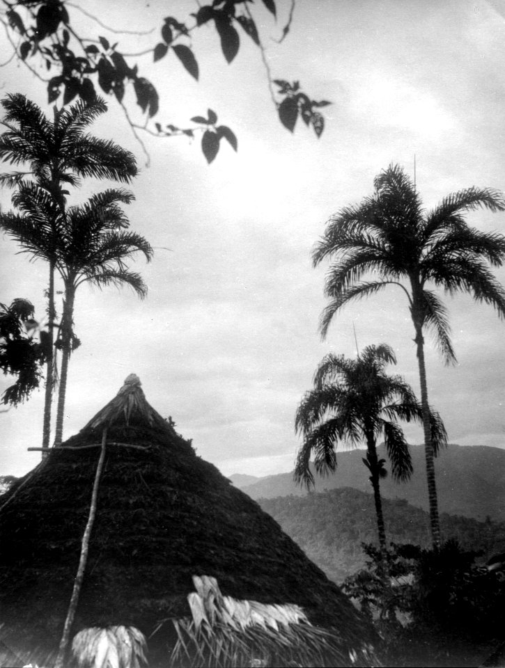 Bogotáindiansk rundhydda med pighúa-palmer. Veraguas. Panama - SMVK - 004283
